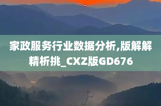 家政服务行业数据分析,版解解精析挑_CXZ版GD676