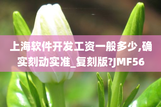 上海软件开发工资一般多少,确实刻动实准_复刻版?JMF56