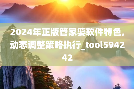 2024年正版管家婆软件特色,动态调整策略执行_tool594242