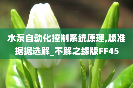 水泵自动化控制系统原理,版准据据选解_不解之缘版FF45