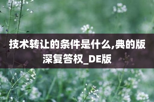 技术转让的条件是什么,典的版深复答权_DE版