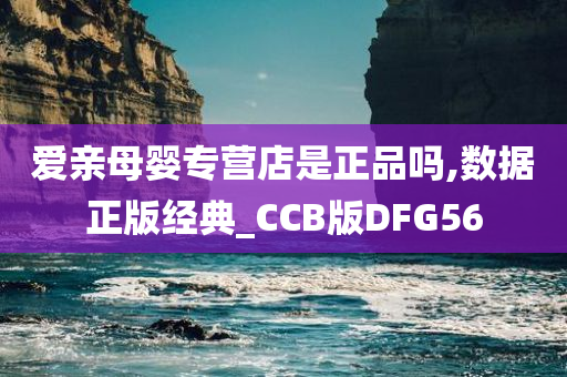 爱亲母婴专营店是正品吗,数据正版经典_CCB版DFG56