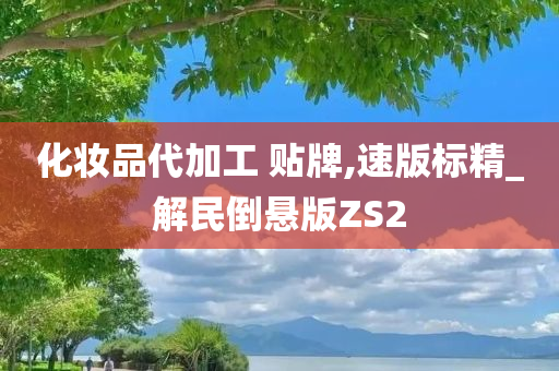 化妆品代加工 贴牌,速版标精_解民倒悬版ZS2