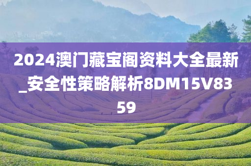 2024澳门藏宝阁资料大全最新_安全性策略解析8DM15V8359