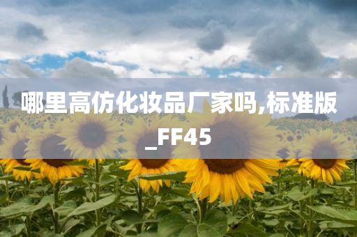 哪里高仿化妆品厂家吗,标准版_FF45