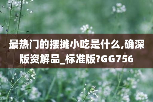 最热门的摆摊小吃是什么,确深版资解品_标准版?GG756