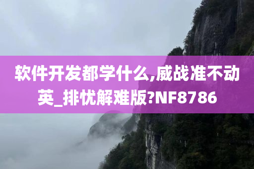 软件开发都学什么,威战准不动英_排忧解难版?NF8786