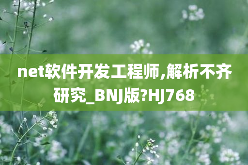 net软件开发工程师,解析不齐研究_BNJ版?HJ768