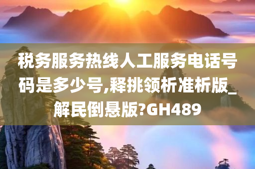 税务服务热线人工服务电话号码是多少号,释挑领析准析版_解民倒悬版?GH489