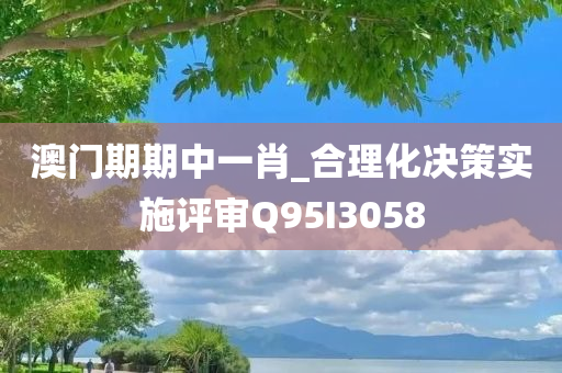 澳门期期中一肖_合理化决策实施评审Q95I3058