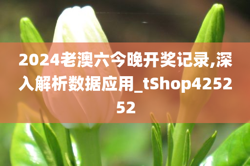 2024老澳六今晚开奖记录,深入解析数据应用_tShop425252