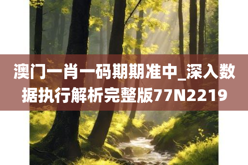 澳门一肖一码期期准中_深入数据执行解析完整版77N2219