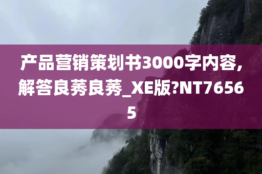 产品营销策划书3000字内容