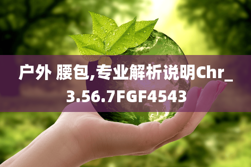 户外 腰包,专业解析说明Chr_3.56.7FGF4543