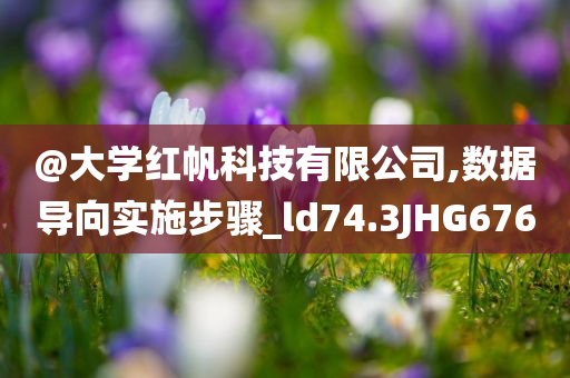 @大学红帆科技有限公司,数据导向实施步骤_ld74.3JHG676