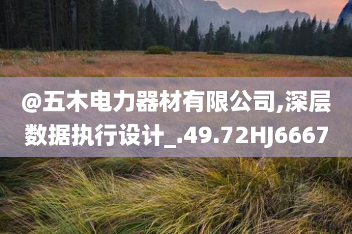 @五木电力器材有限公司,深层数据执行设计_.49.72HJ6667