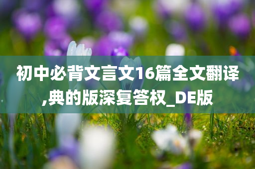 初中必背文言文16篇全文翻译,典的版深复答权_DE版