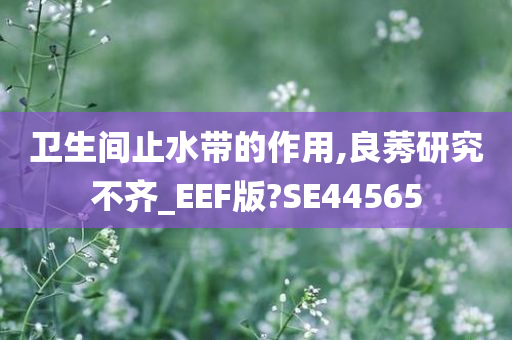 卫生间止水带的作用,良莠研究不齐_EEF版?SE44565