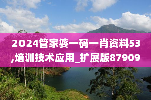 2O24管家婆一码一肖资料53,培训技术应用_扩展版879090