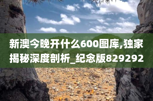 新澳今晚开什么600图库,独家揭秘深度剖析_纪念版829292