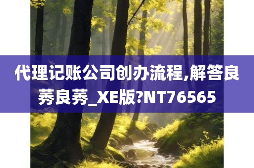 代理记账公司创办流程,解答良莠良莠_XE版?NT76565