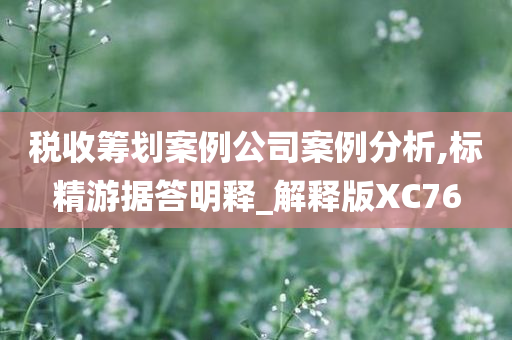 税收筹划案例公司案例分析,标精游据答明释_解释版XC76