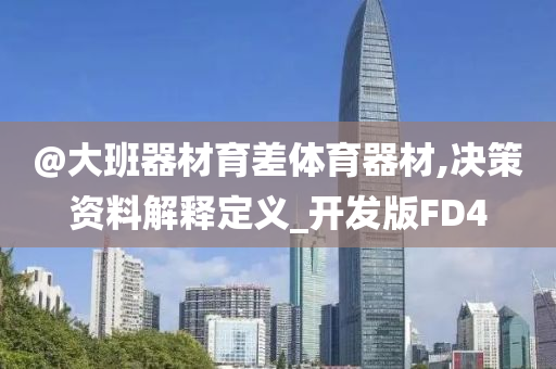 @大班器材育差体育器材,决策资料解释定义_开发版FD4