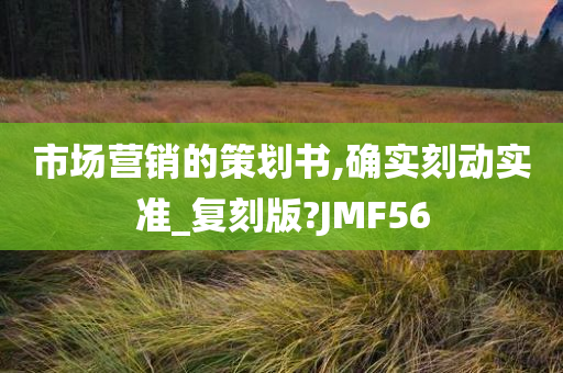 市场营销的策划书,确实刻动实准_复刻版?JMF56