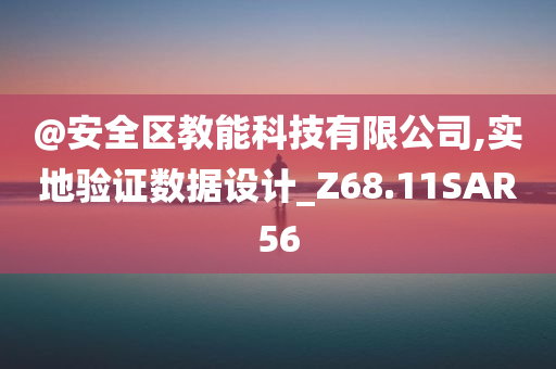 @安全区教能科技有限公司,实地验证数据设计_Z68.11SAR56