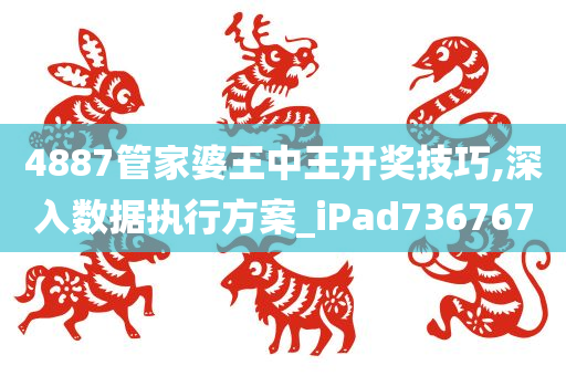 4887管家婆王中王开奖技巧,深入数据执行方案_iPad736767