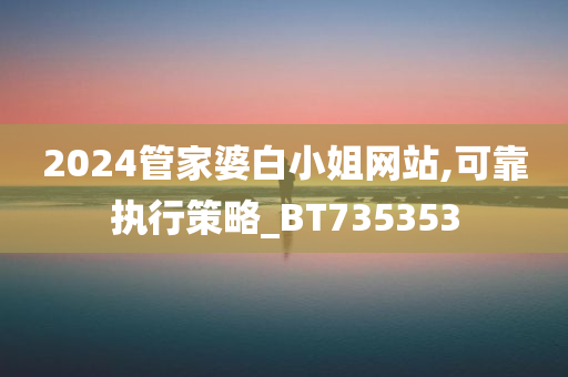 2024管家婆白小姐网站,可靠执行策略_BT735353