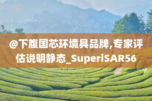 @下腹国芯环境具品牌,专家评估说明静态_SuperiSAR56