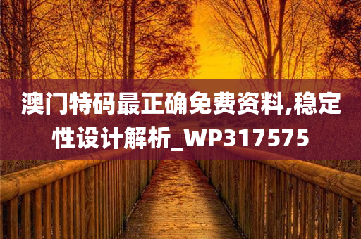 澳门特码最正确免费资料,稳定性设计解析_WP317575