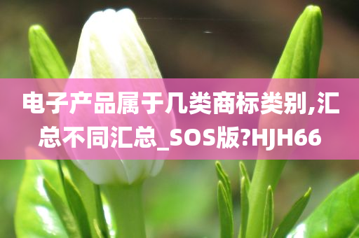 电子产品属于几类商标类别,汇总不同汇总_SOS版?HJH66