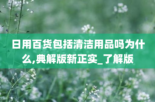 日用百货包括清洁用品吗为什么