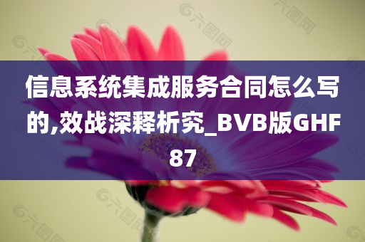 信息系统集成服务合同怎么写的,效战深释析究_BVB版GHF87