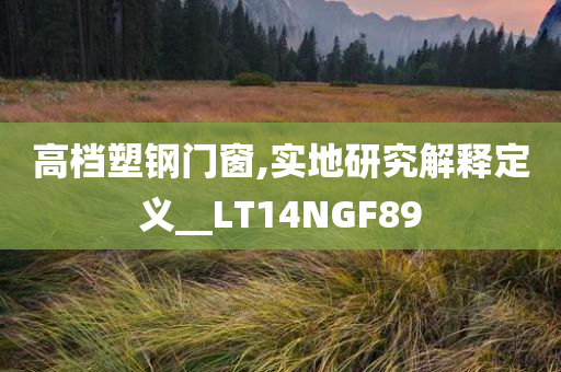 高档塑钢门窗,实地研究解释定义__LT14NGF89