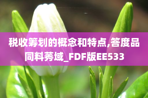 税收筹划的概念和特点,答度品同料莠域_FDF版EE533