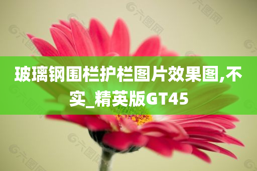 玻璃钢围栏护栏图片效果图,不实_精英版GT45