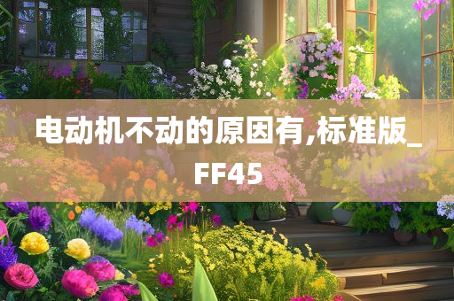 电动机不动的原因有,标准版_FF45