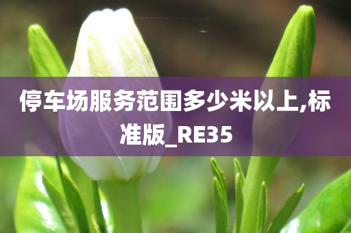 停车场服务范围多少米以上,标准版_RE35