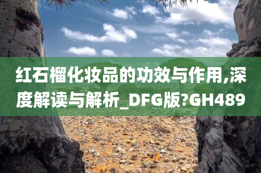 红石榴化妆品的功效与作用,深度解读与解析_DFG版?GH489