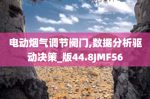 电动烟气调节阀门,数据分析驱动决策_版44.8JMF56