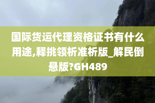 国际货运代理资格证书有什么用途,释挑领析准析版_解民倒悬版?GH489