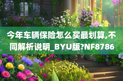 今年车辆保险怎么买最划算,不同解析说明_BYU版?NF8786