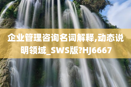 企业管理咨询名词解释,动态说明领域_SWS版?HJ6667