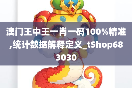 澳门王中王一肖一码100%精准,统计数据解释定义_tShop683030