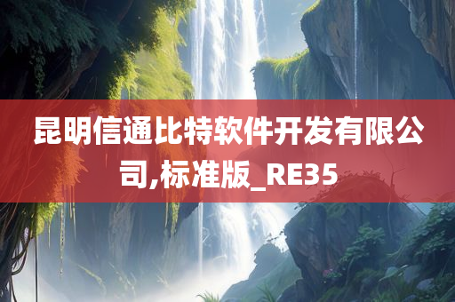 昆明信通比特软件开发有限公司,标准版_RE35