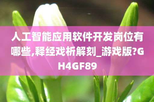 人工智能应用软件开发岗位有哪些,释经戏析解刻_游戏版?GH4GF89