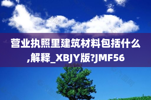 营业执照里建筑材料包括什么,解释_XBJY版?JMF56